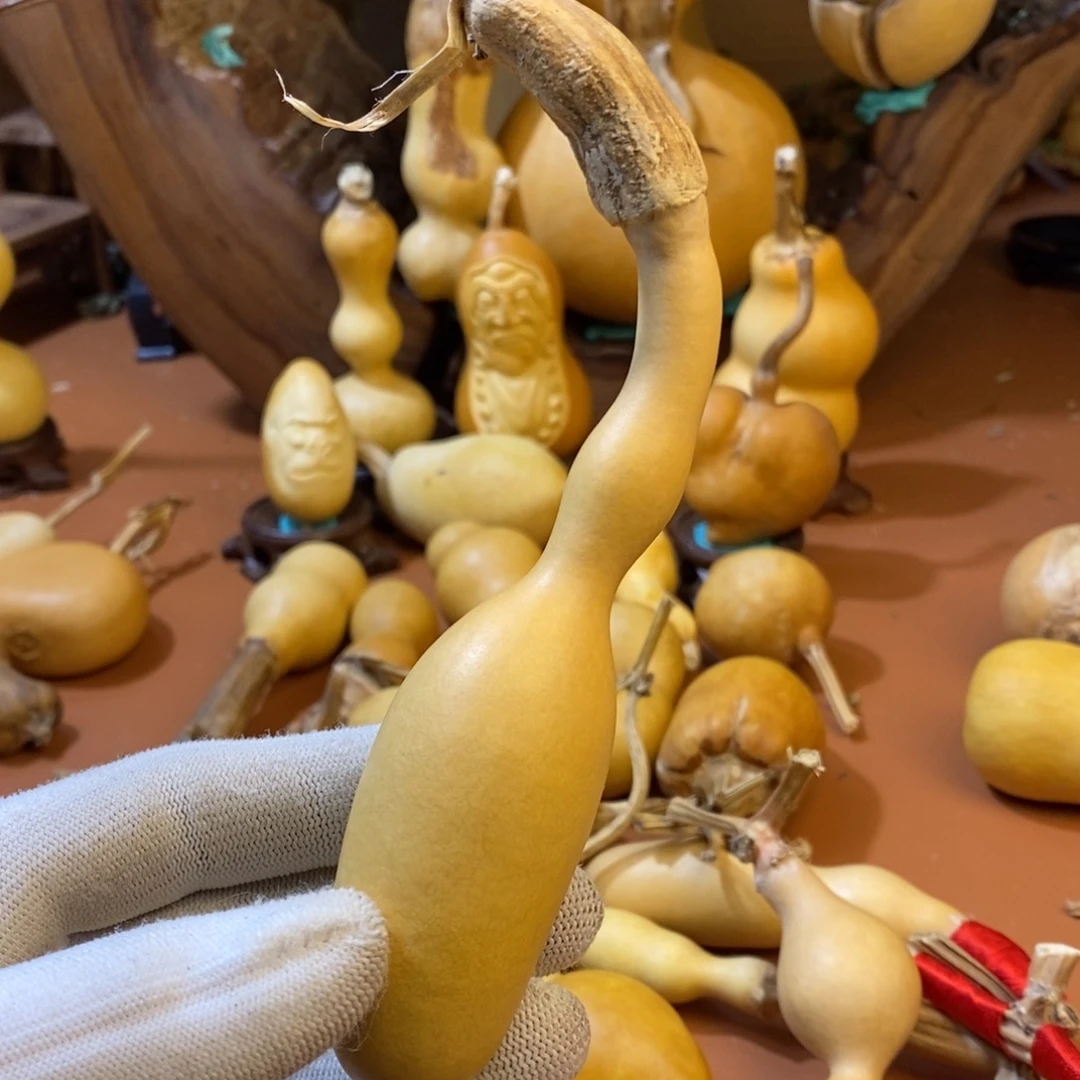 ****教练教练教练考虑教练咯