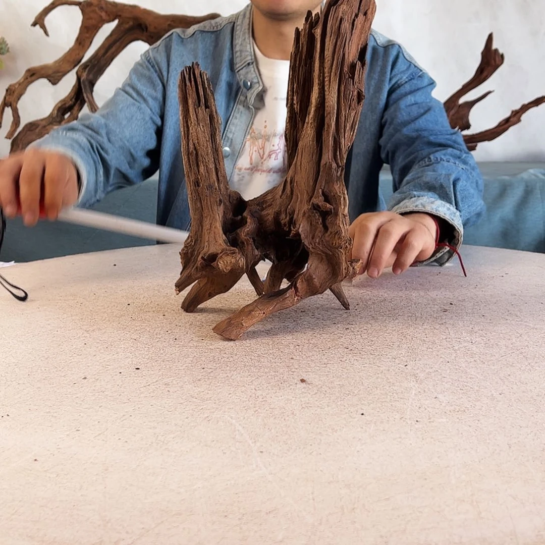 17.30.17 沉木造景爬宠造景