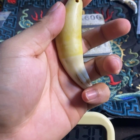大哥专拍链接一号