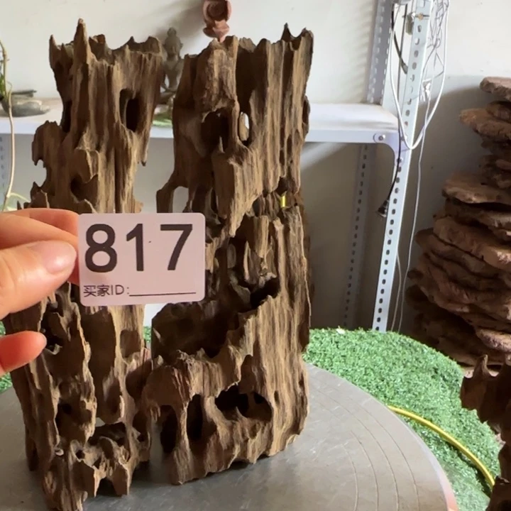 娃***鱼紫砂的味道很好闻