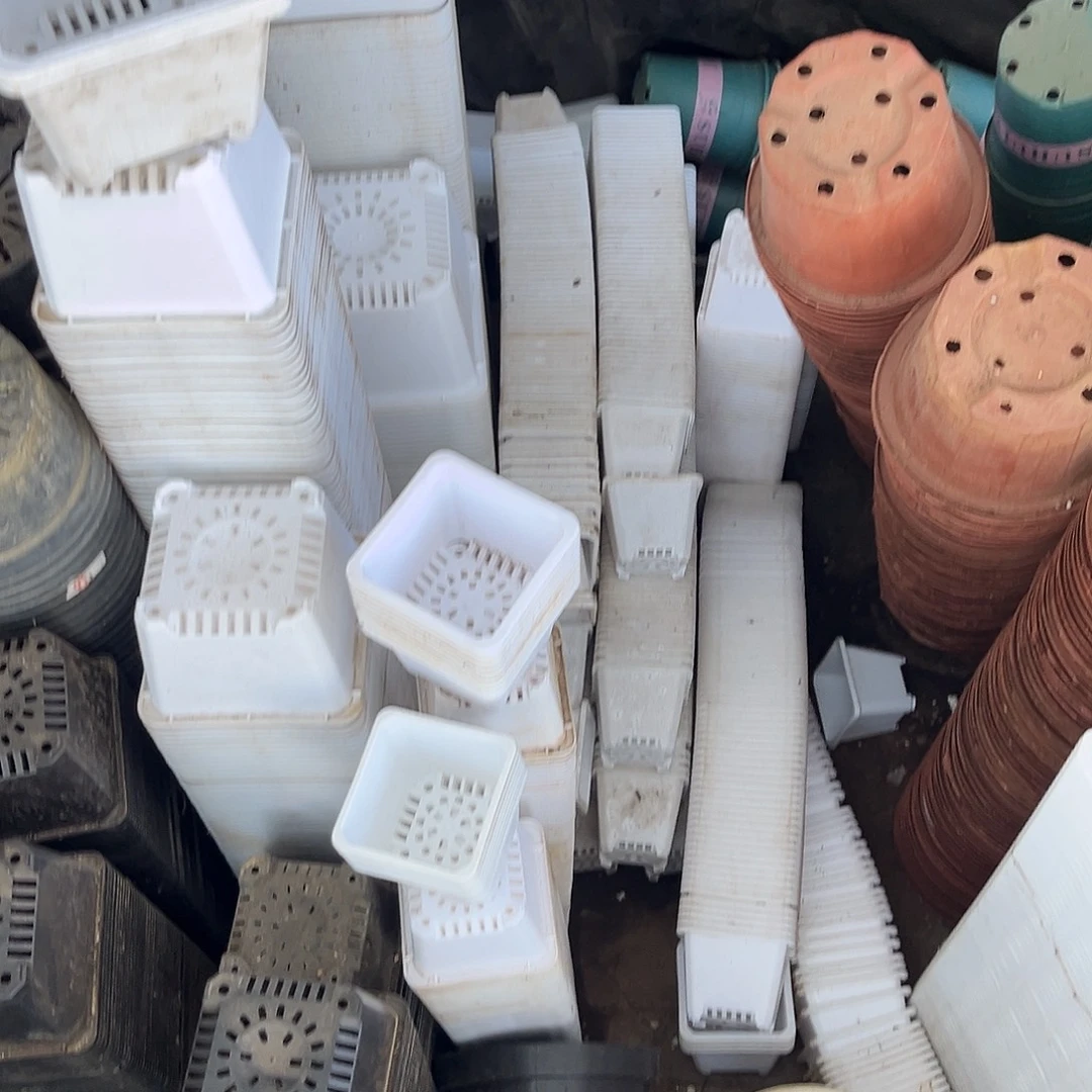 口径9.5高7白方盆20个