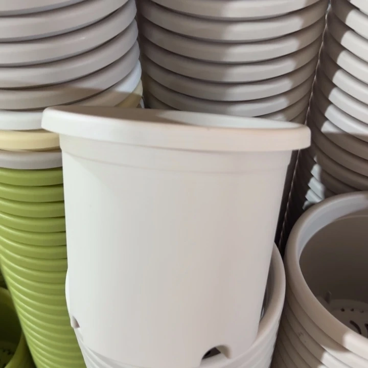 口径17灰白无托10个