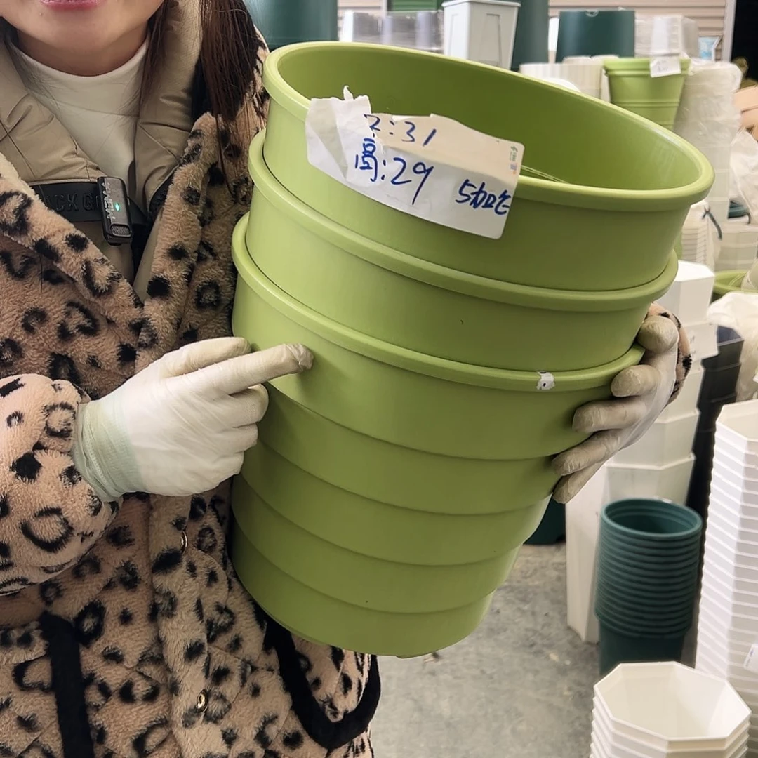 多孔盆5#果绿3个无托