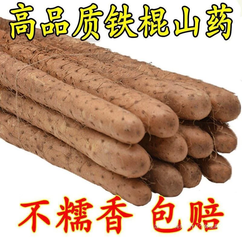 正宗铁棍山药新鲜现挖软糯甘面香原产地直发5斤装精品