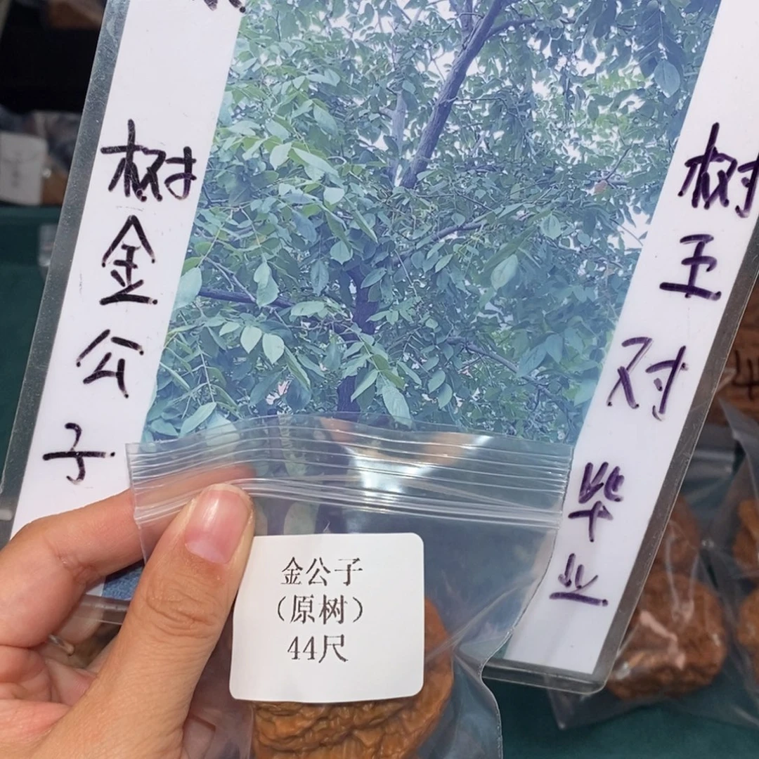 文玩核桃吊坠44金公子