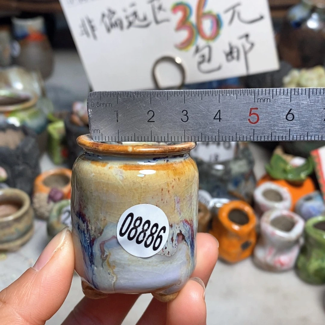 拍5送一个小礼物花盆