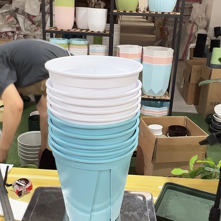 青山210口21高21混色无托10只