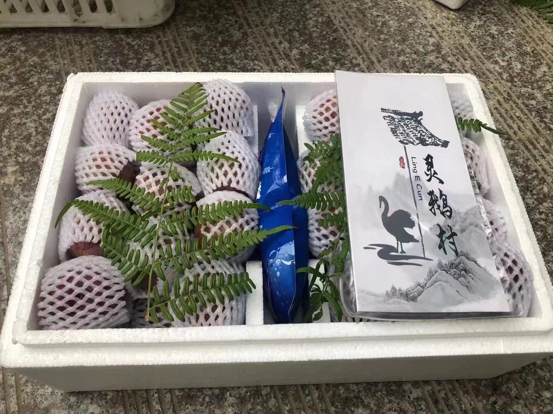 【大果】新鲜现摘正宗嵊州灵鹅桃形李酸甜可口当季水果孕妇优选