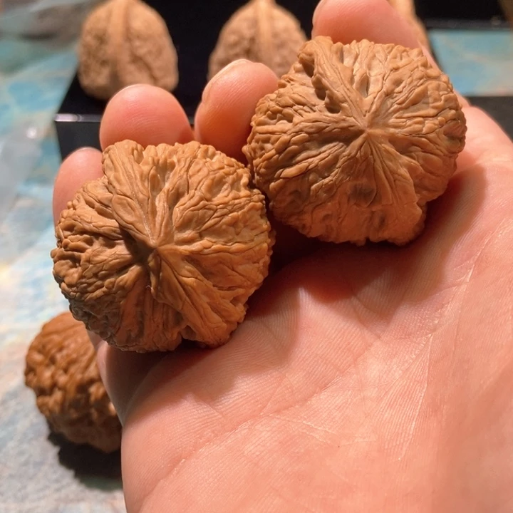 把件文玩核桃41蛟龙，点修