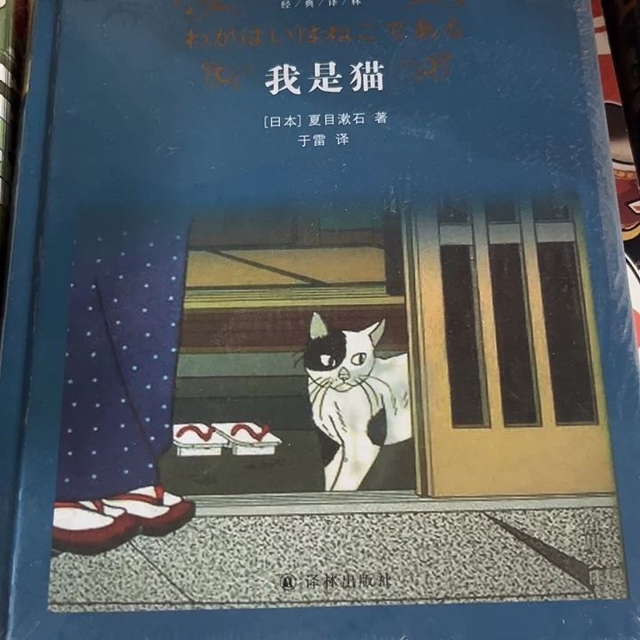 驯鹿毛我是猫新书推荐