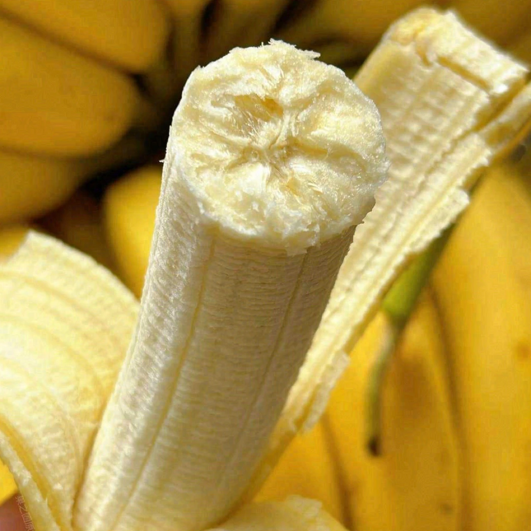 进口香蕉  软糯香甜 500g