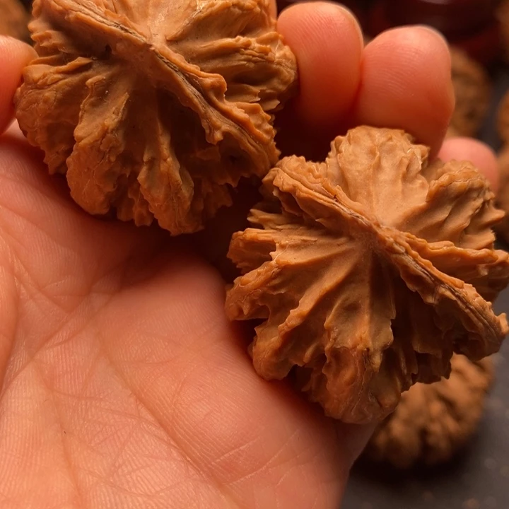 秦岭野生文玩核桃