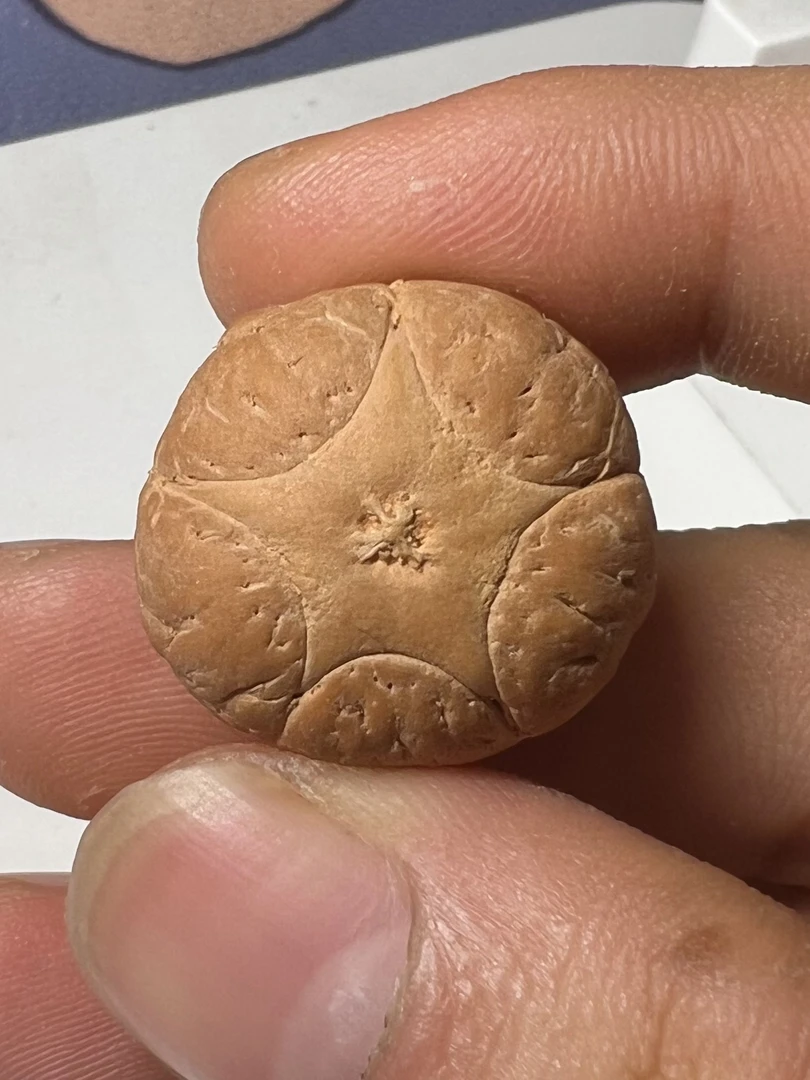 尼泊尔五星上将五星三通尺寸22.5mmx16.5mm