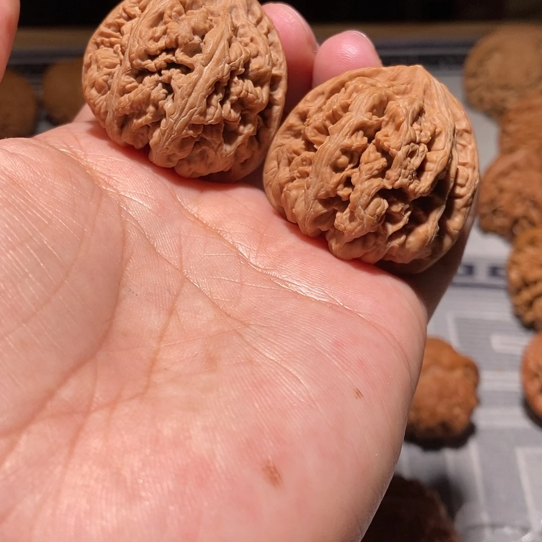 l***e把件文玩核桃030粗筋小尺寸39尺