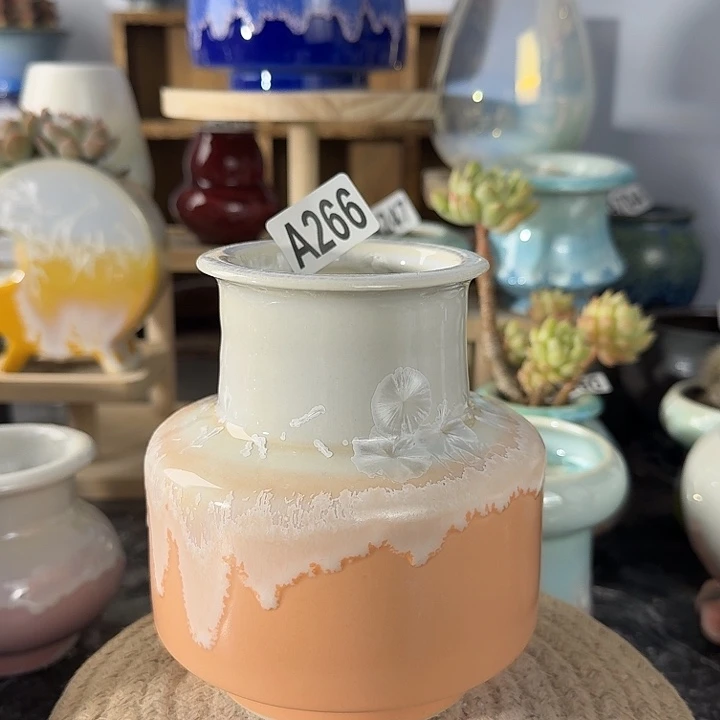 够28包邮，当天凑够口6高12.5