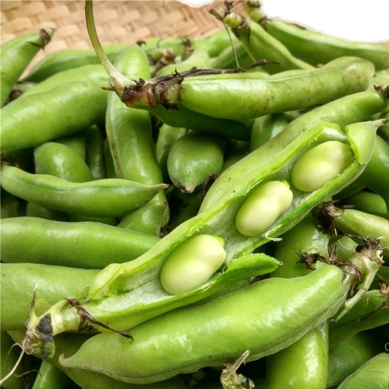 湖北露天应季老品种小籽蚕豆带壳豌豆巴果现摘现发