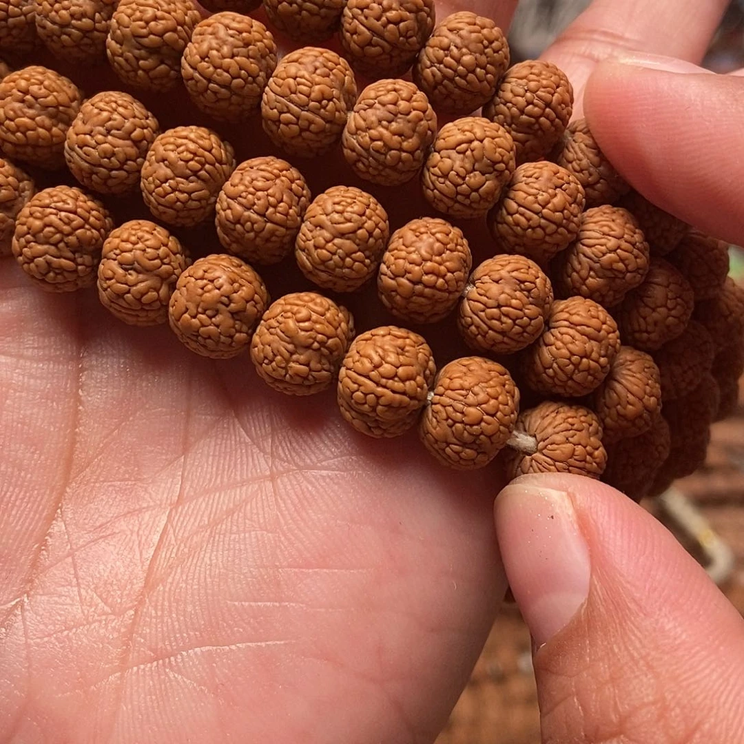 吊坠金刚菩提有***衫龙鳞9