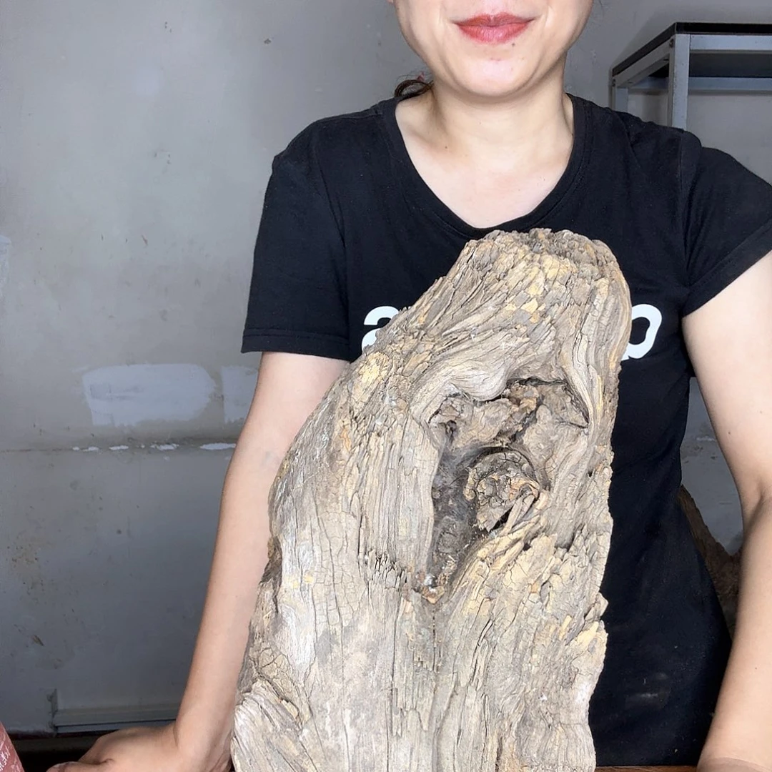 往***城木太行崖柏摆件摆件