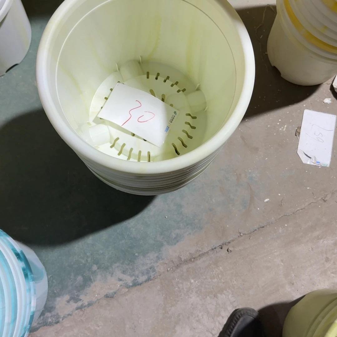 编号是30号的30号的