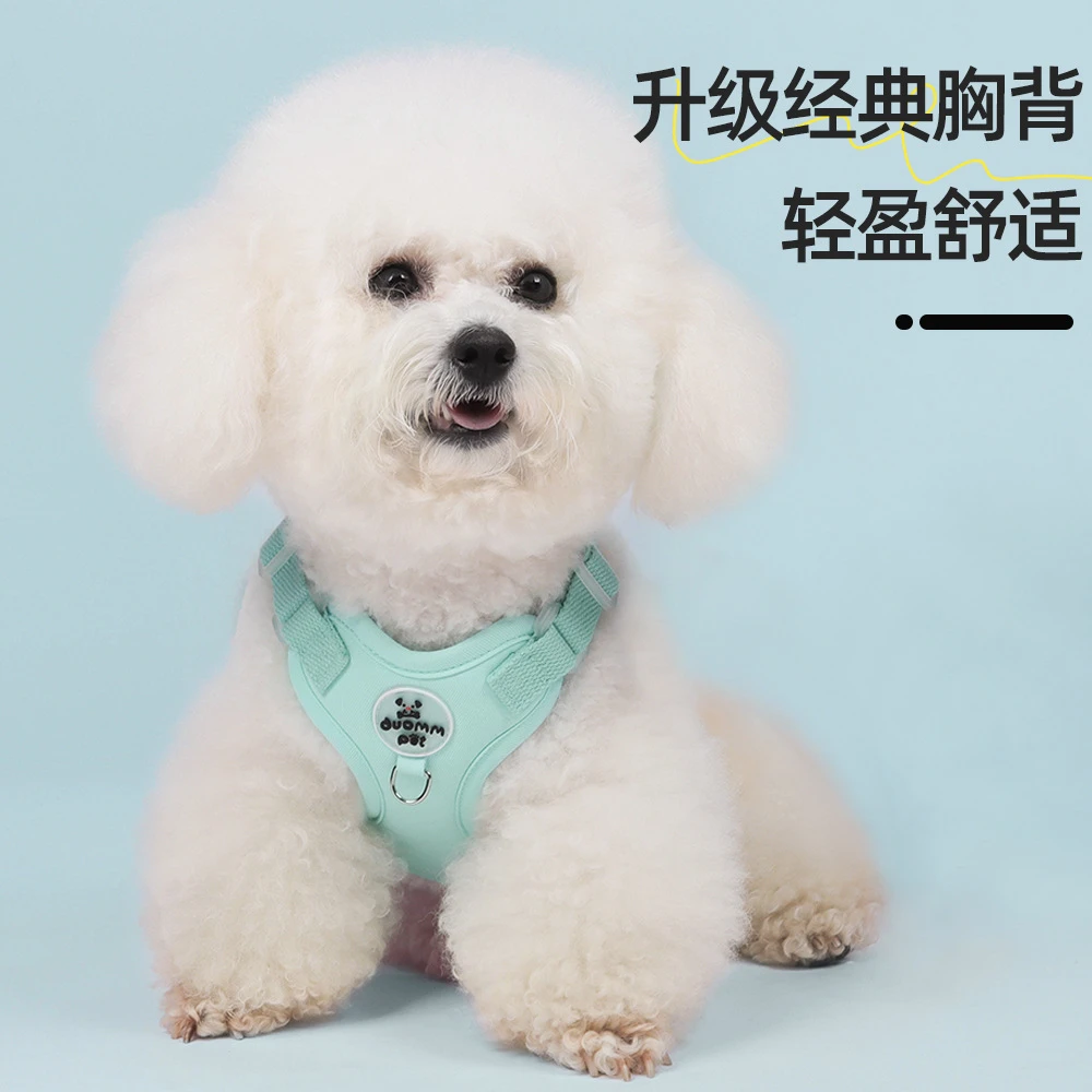 狗狗牵引绳小型犬泰迪比熊背心式透气胸背带防挣脱宠物户外遛狗绳