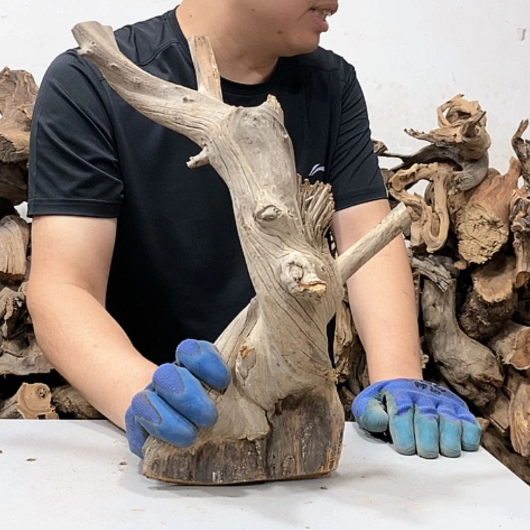 【闪购商品】柏木精****》我们都是好孩子