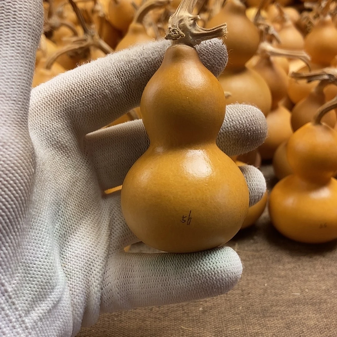 文玩葫芦 完美主义者 慎拍56