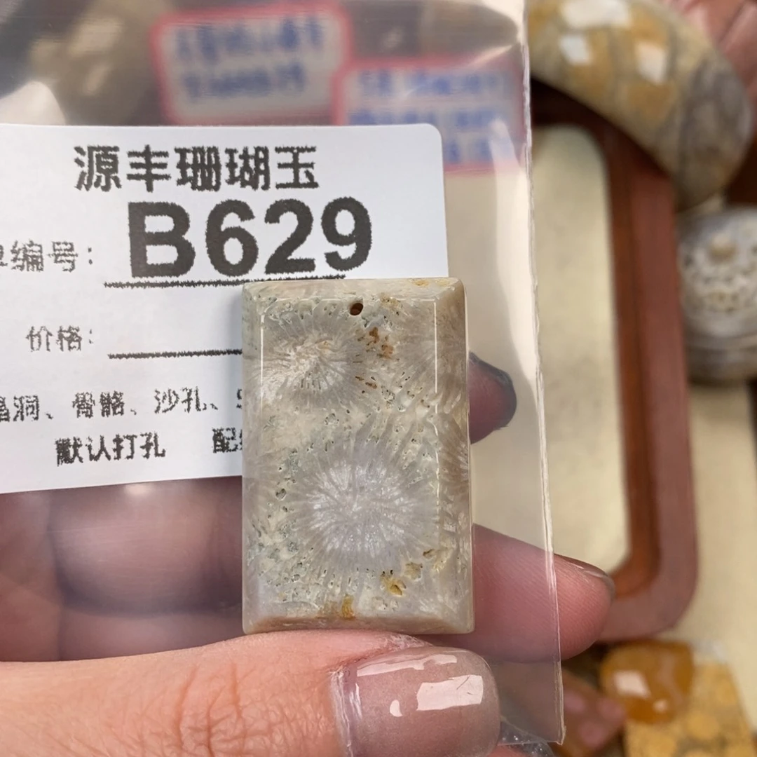 硅化玉颈饰未镶嵌戏*