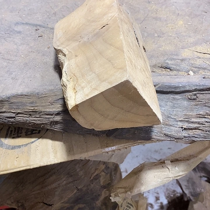 乌木类画*金丝楠木小叶