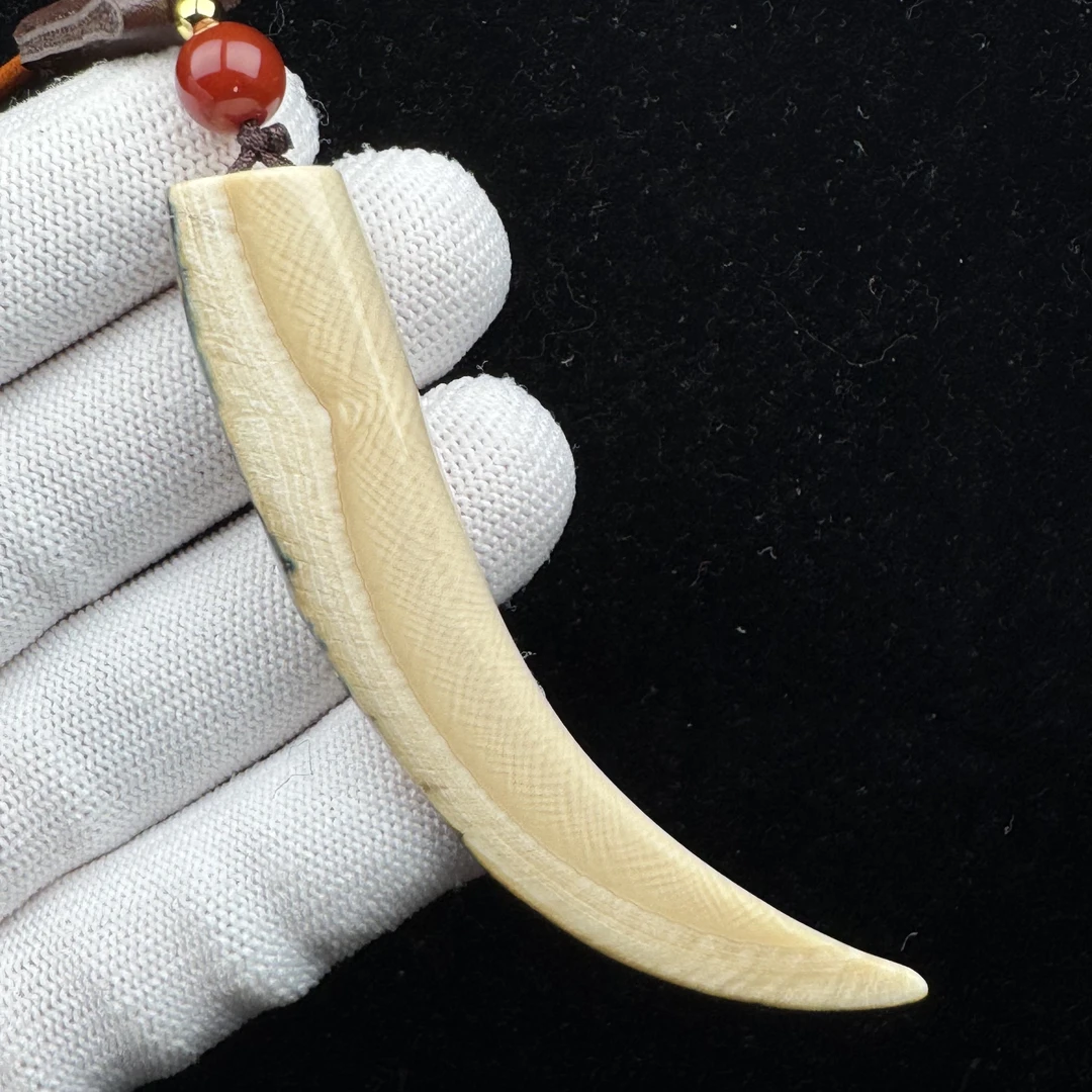 L3508天然猛犸牙 牙尖83.8mm支持鉴定 假一罚四