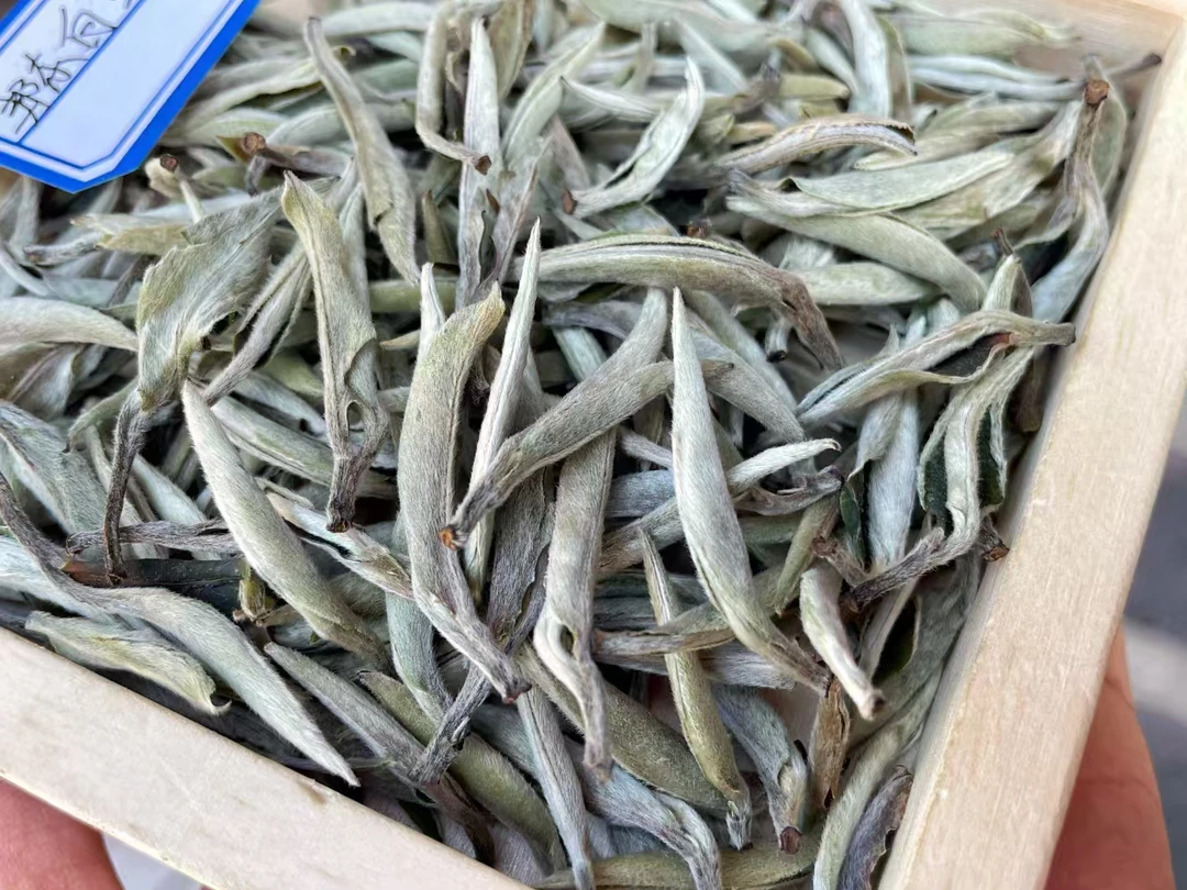 2025云南邦东白毫银针，奶粉香味足。清甜口爽。