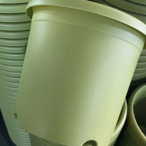 树脂四季5号果绿无托10个微瑕