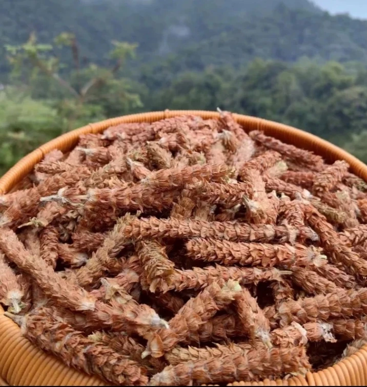 云南深山【夏、枯、】草  现收农产品 500g