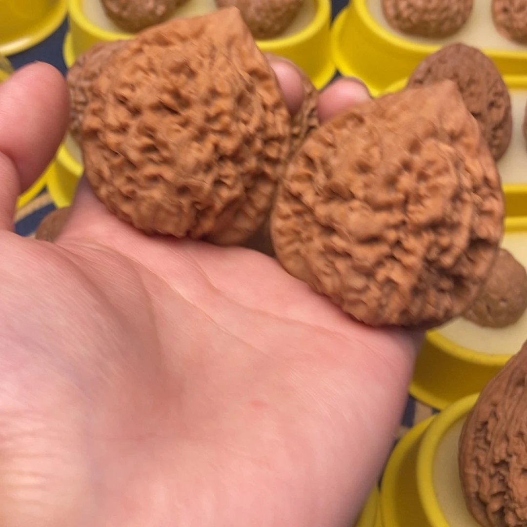 把件文玩核桃47帽子