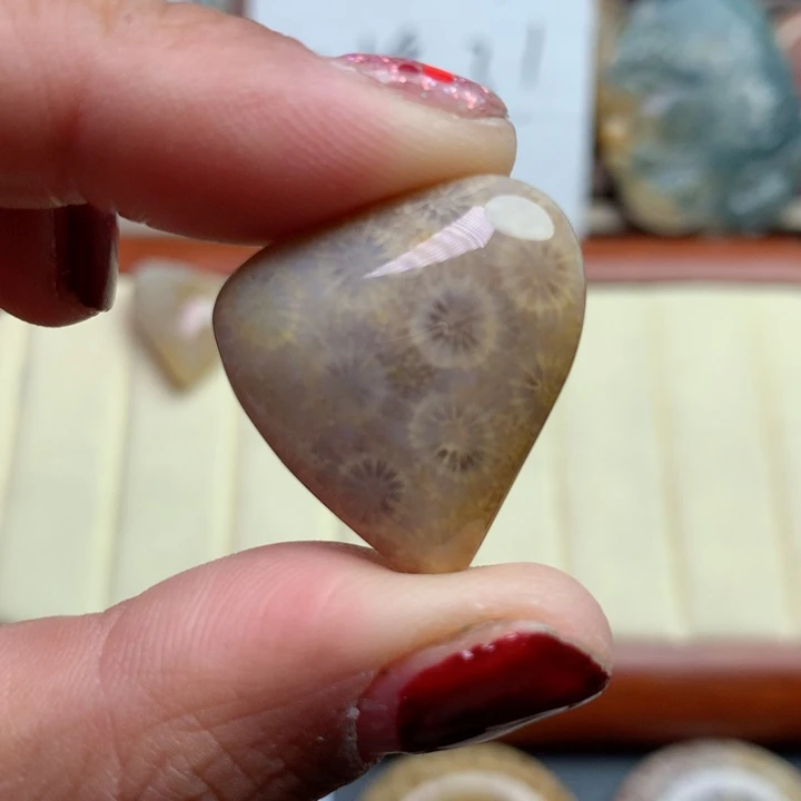 硅化珊瑚（珊瑚玉）颈饰未镶嵌