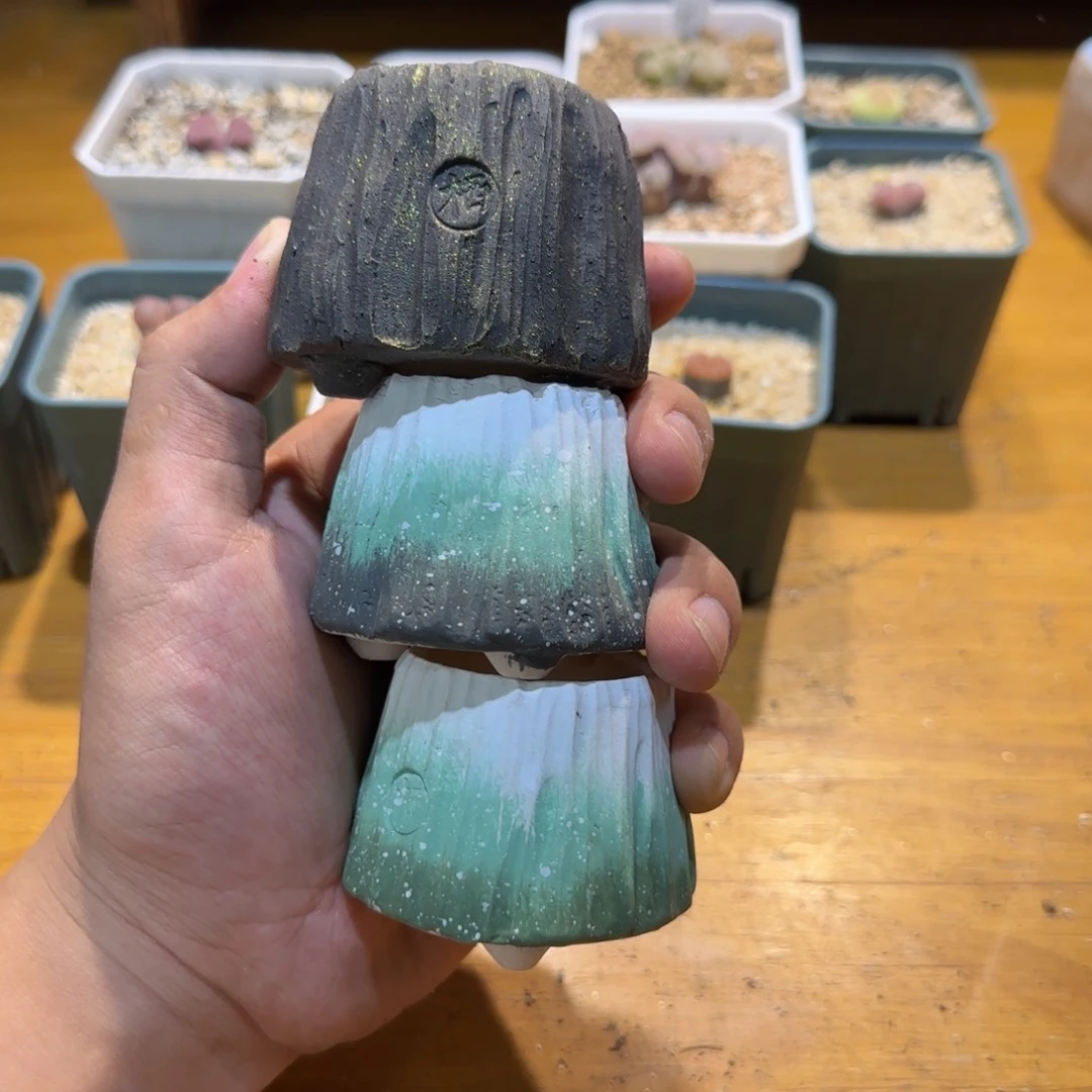 坦***然去瞧瞧凄凄切切凄凄切切