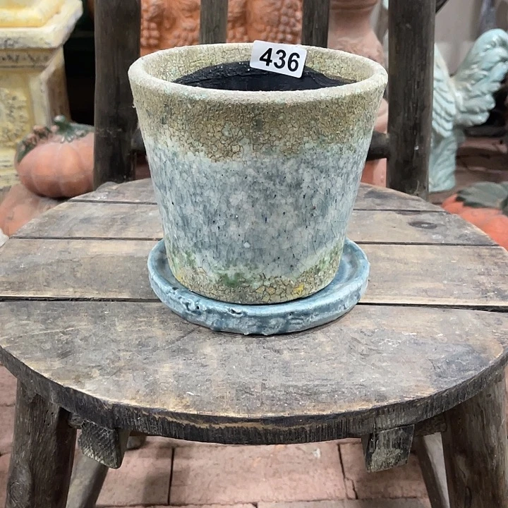 许纯的花房436一套