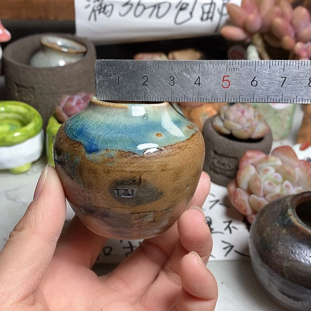 红陶拍5送一个小