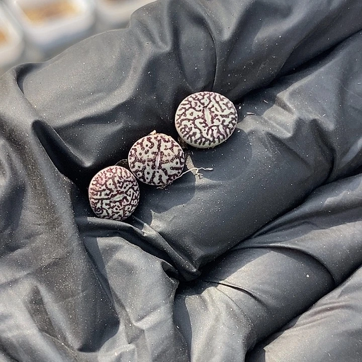 0918-21-超墨超福利。脱土