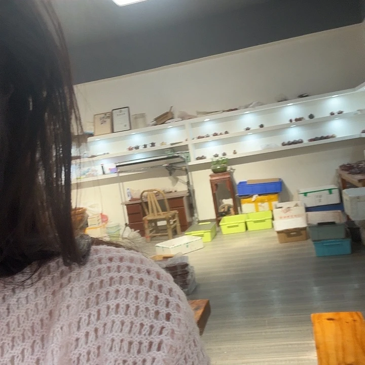 紫砂茶壶紫砂壶紫砂壶19