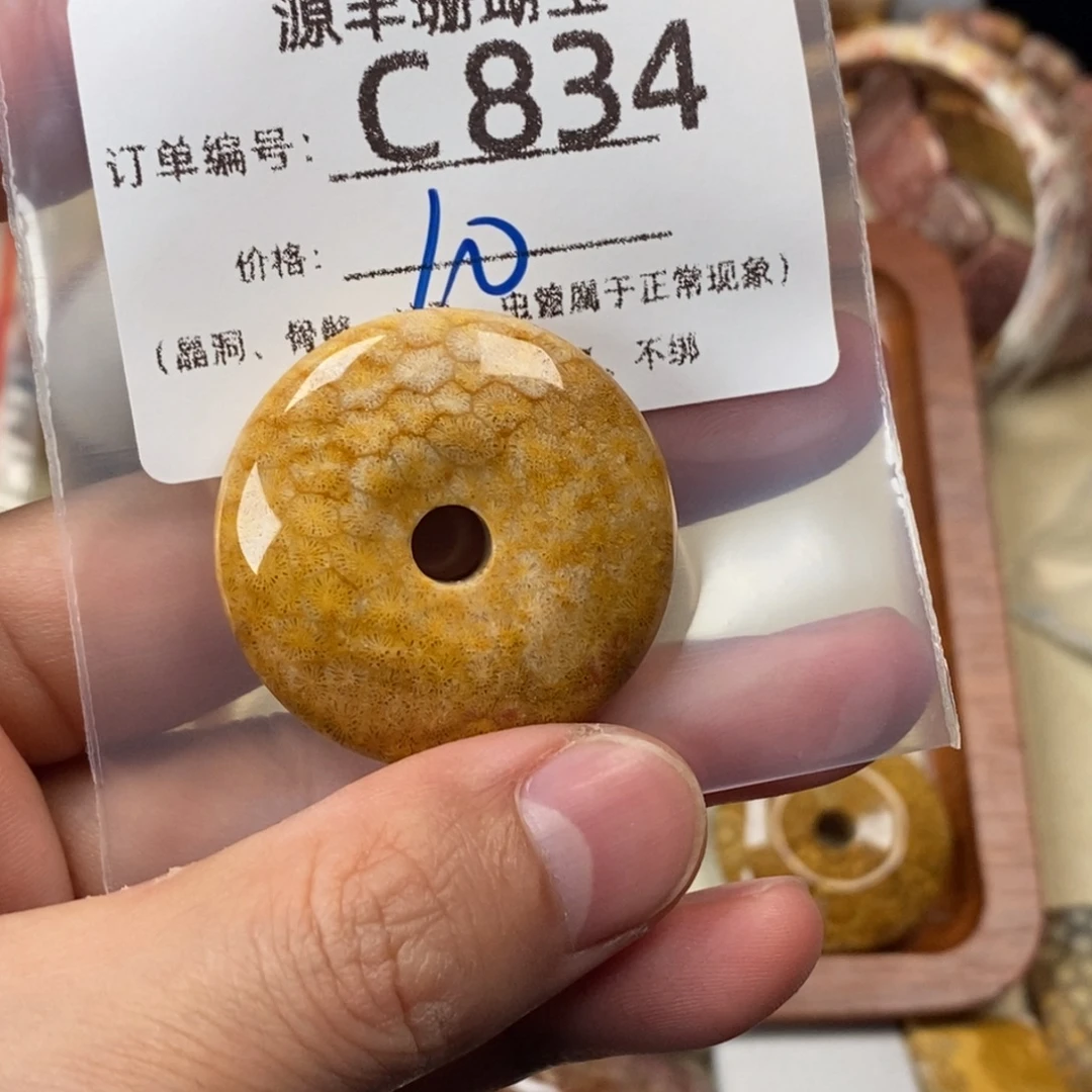 A***外硅化玉未镶嵌颈饰