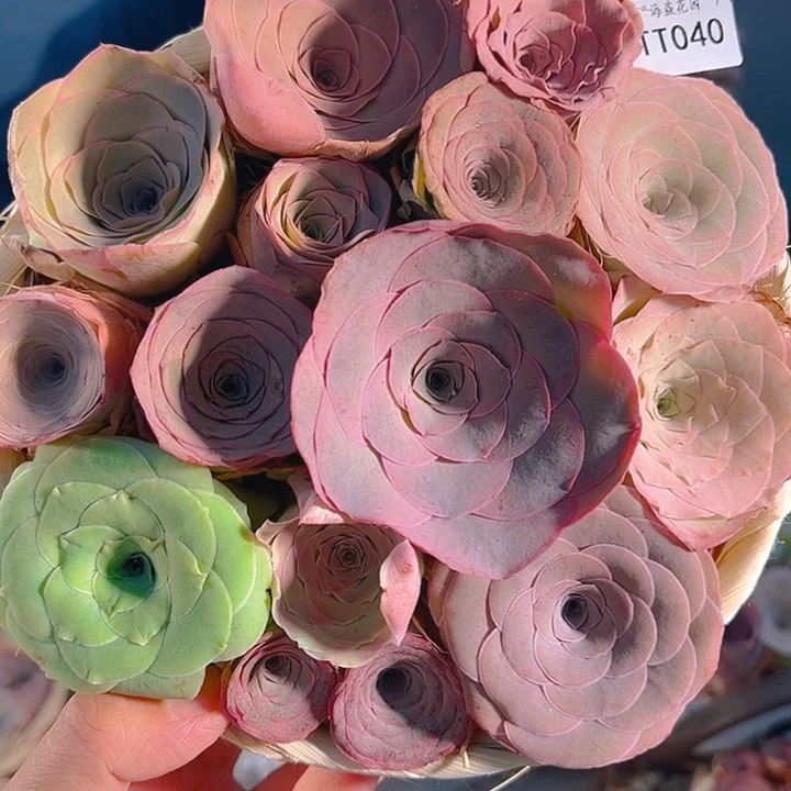 TT040。玫瑰混花篮。