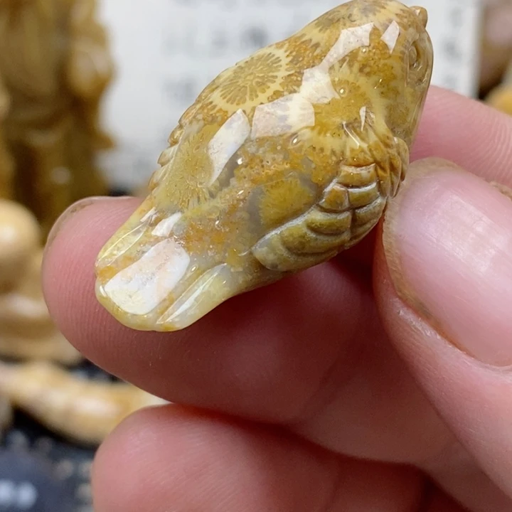 颈饰未镶嵌硅化珊瑚（珊瑚玉）小