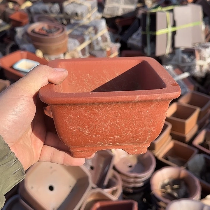 在干嘛的我也睡啦一下午你都在那想干