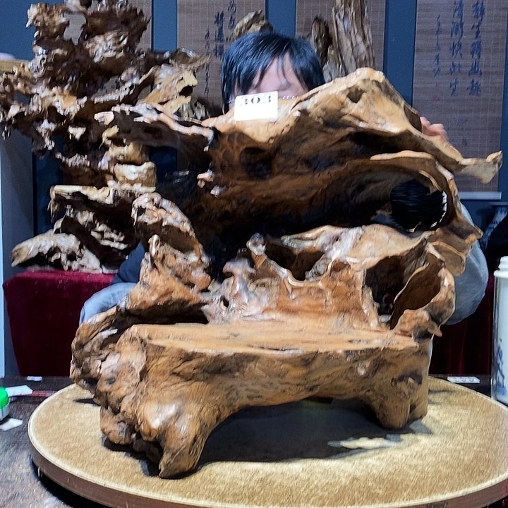 回***岸303。株木随行根艺