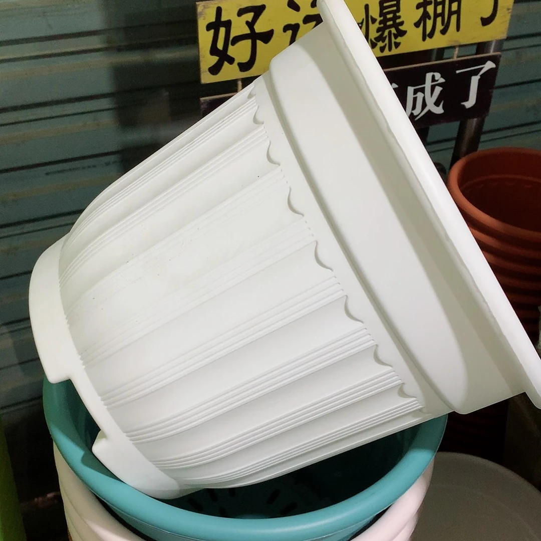 树脂罗马口32白3个无托