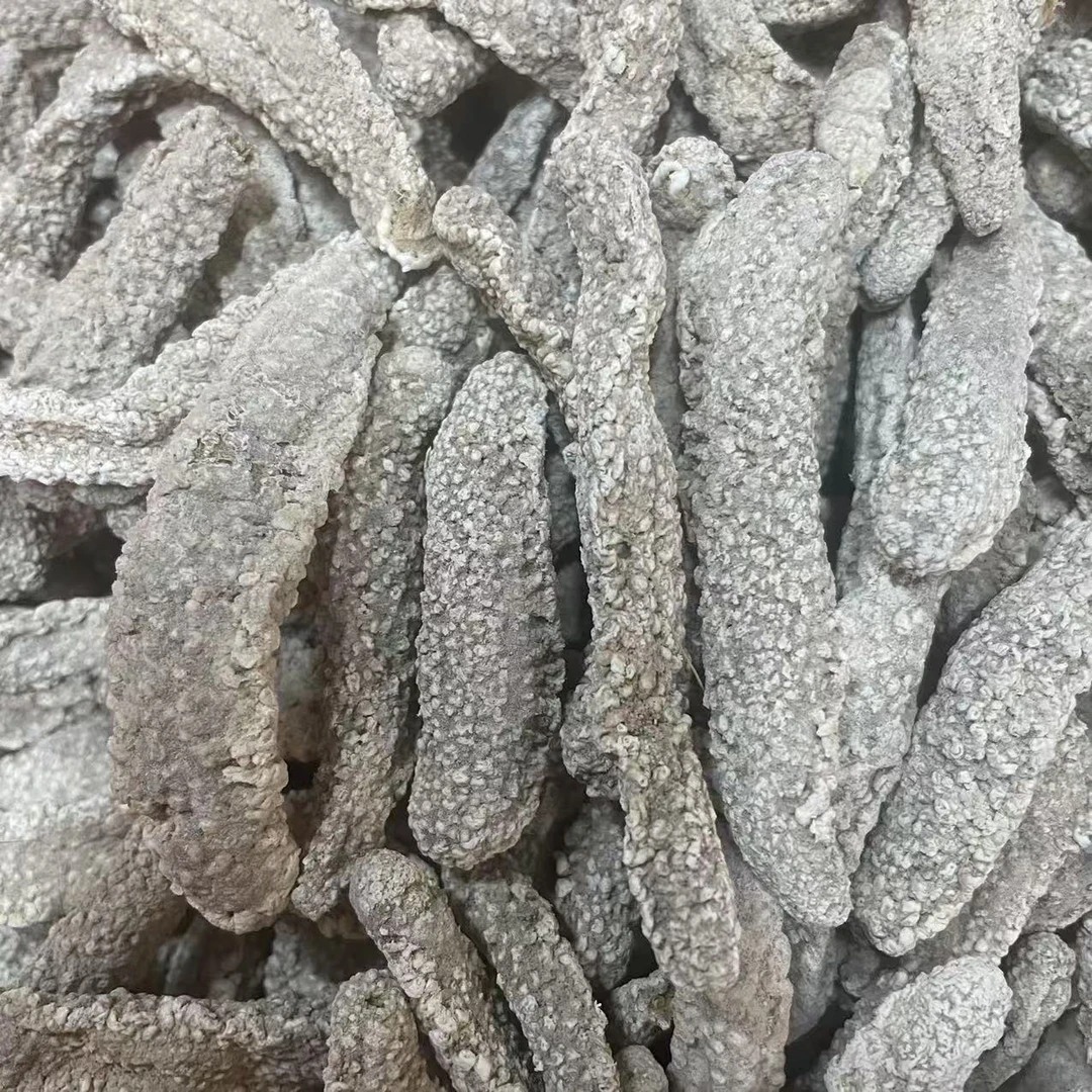 印尼刺参 淡干海参