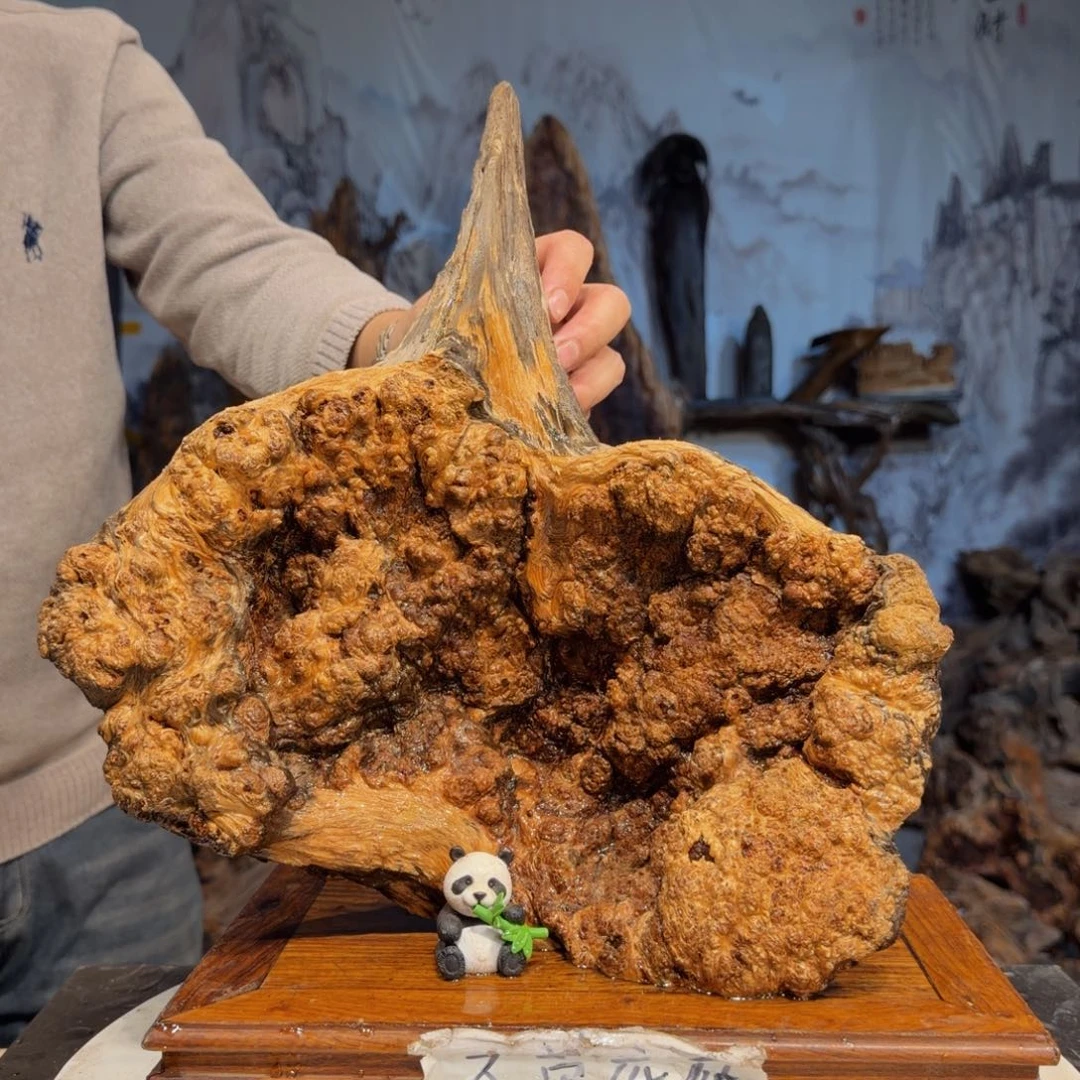 忘***光木三丰琥珀木 天然摆件30