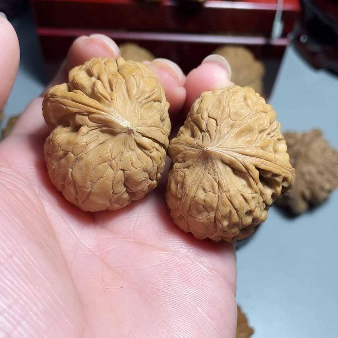 核桃手串/手链精品大团圆飞蛇
