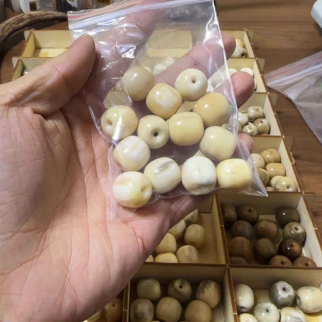 鹿骨手串/手链3666