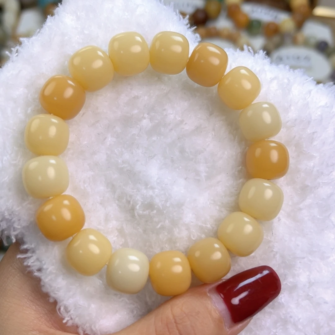 菩提根/象牙果手串小奶酪